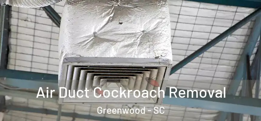  Air Duct Cockroach Removal Greenwood - SC