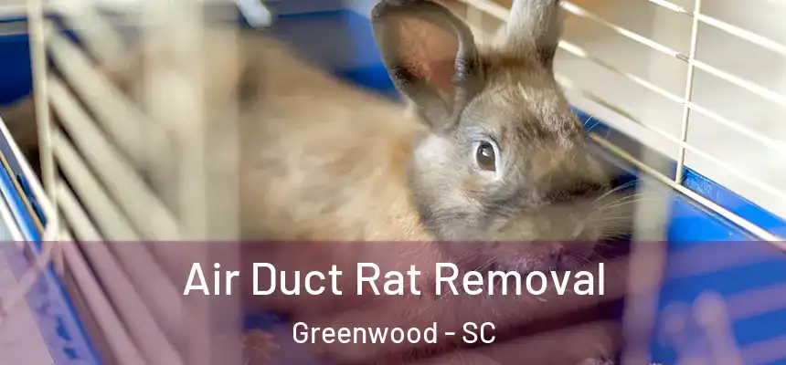 Air Duct Rat Removal Greenwood - SC