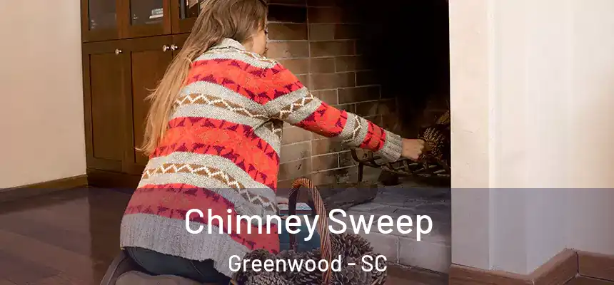  Chimney Sweep Greenwood - SC