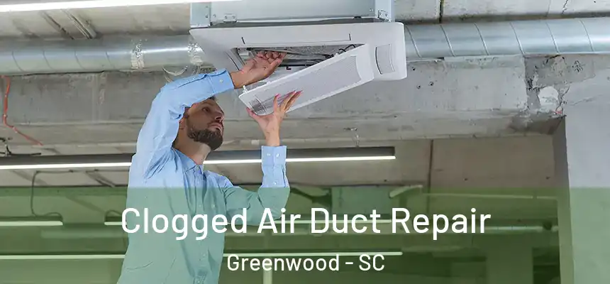  Clogged Air Duct Repair Greenwood - SC