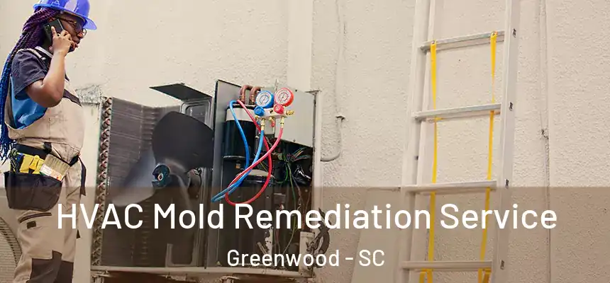  HVAC Mold Remediation Service Greenwood - SC