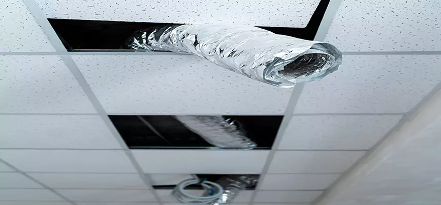 Our Air Duct Pet Hair Removal Services in Greenwood, SC