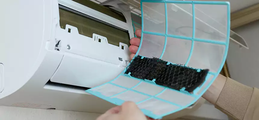 Gentle Ductwork Odor-Control Pet Dander Duct Cleaning in Greenwood, SC