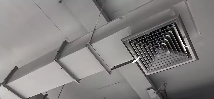 Our Rodent Droppings In Vents Services in Greenwood, SC