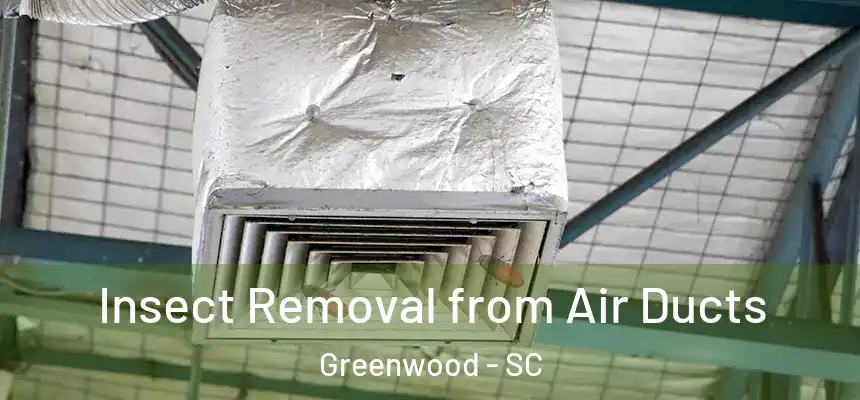  Insect Removal from Air Ducts Greenwood - SC