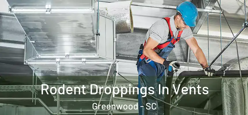  Rodent Droppings In Vents Greenwood - SC