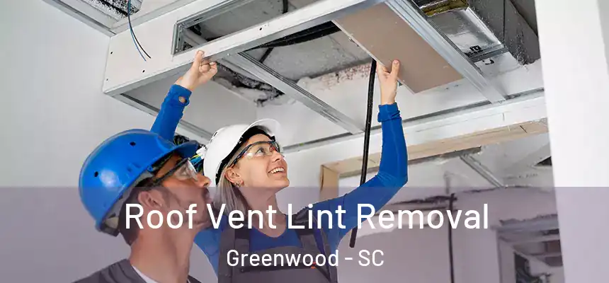 Roof Vent Lint Removal Greenwood - SC