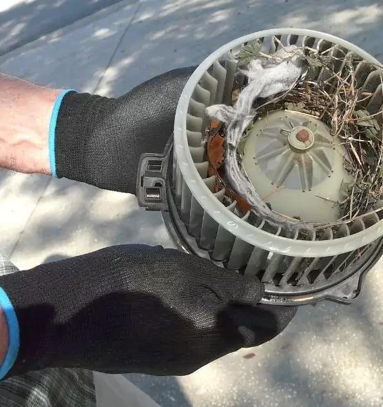 About Air Duct Rat Removal in Greenwood, SC