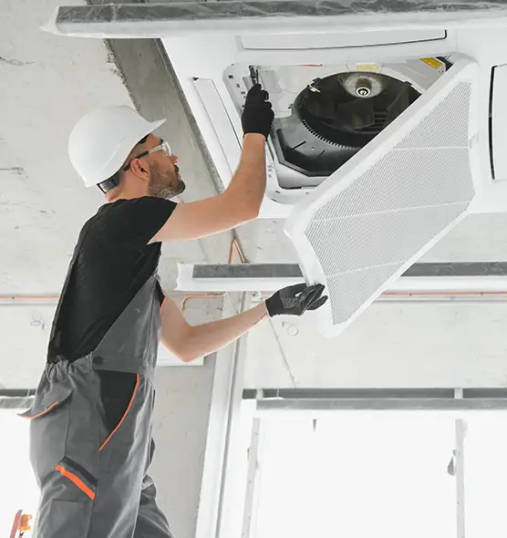 About Air Duct Rodent Removal in Greenwood, SC