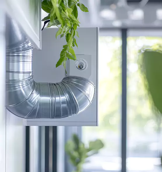 Professional Eco-Friendly Duct Cleaning Services in Greenwood, SC