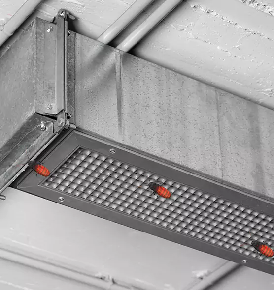 Affordable Insect Removal from Air Ducts in Greenwood, SC