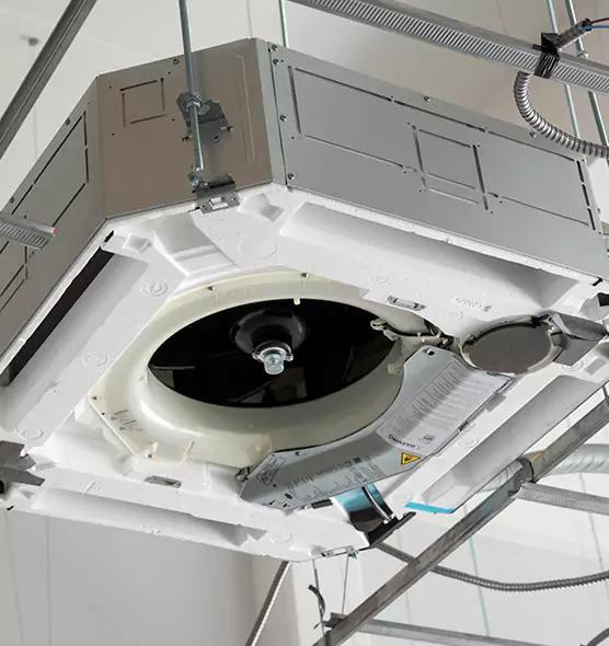 Professional Roof Vent Lint Removal Greenwood, SC