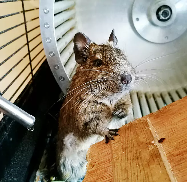 Why Homeowners & Businesses Trust Us Greenwood, SC