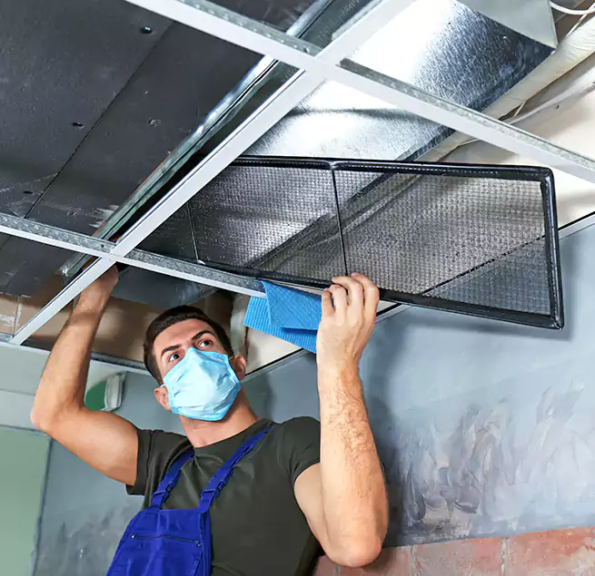 Why Homeowners Businesses Trust Us in Greenwood, SC