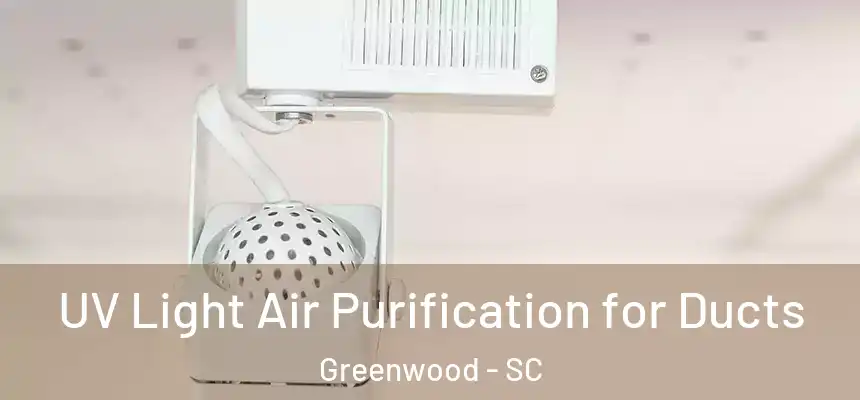  UV Light Air Purification for Ducts Greenwood - SC